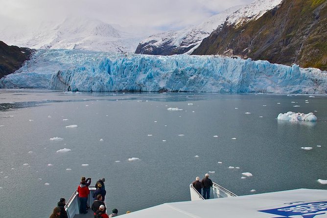 Prince William Sound Glacier Tour - Whittier - Harvard Glacier and Seal Sightings