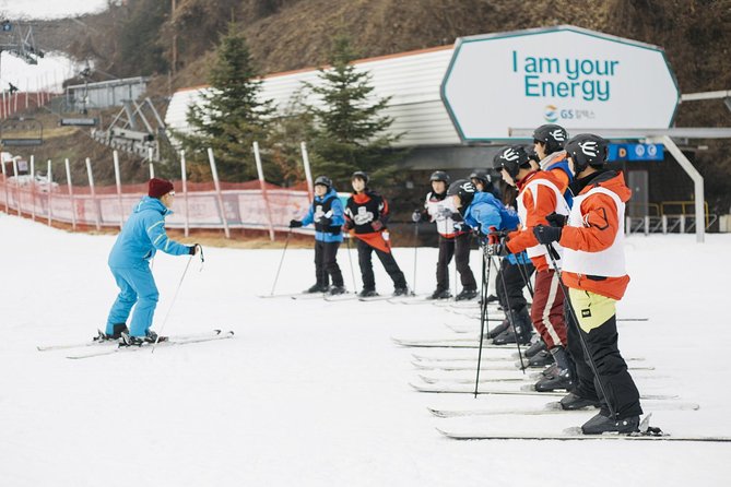 Private 1:1 Ski Lesson Near Seoul, South Korea - Location and Terrain Details