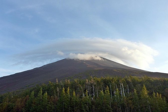 Private 3-Hour Biking Adventure: Descend Mount Fuji  - Fujikawaguchiko-machi - Additional Information and Booking Details