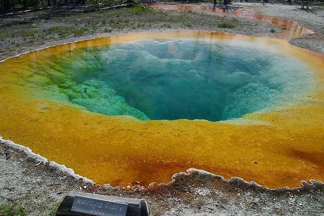 Private All-Day Tour of Yellowstone National Park - Wildlife and Natural Wonders Encountered