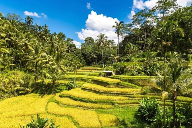 Private Bali Tour - All Inclusive - Sum Up