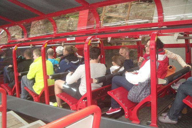 PRIVATE Blue Mountains Day Tour From Sydney With Wildlife Park and River Cruise - Customer Reviews