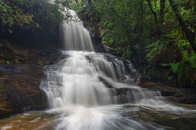 PRIVATE Blue Mountains & Scenic World Tour in a Luxury Car - Directions