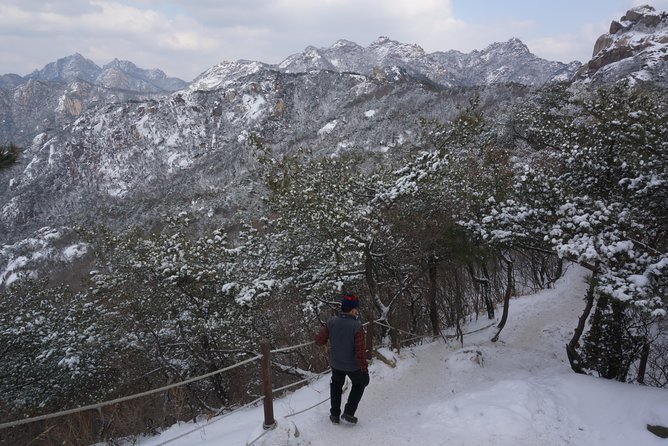 Private Bukhansan Hiking Tour (More Members Less Cost per Person) - Customer Reviews and Feedback