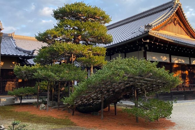 Private & Custom KYOTO Day Tour By Coaster/Microbus (Max 27 Pax) - Additional Options