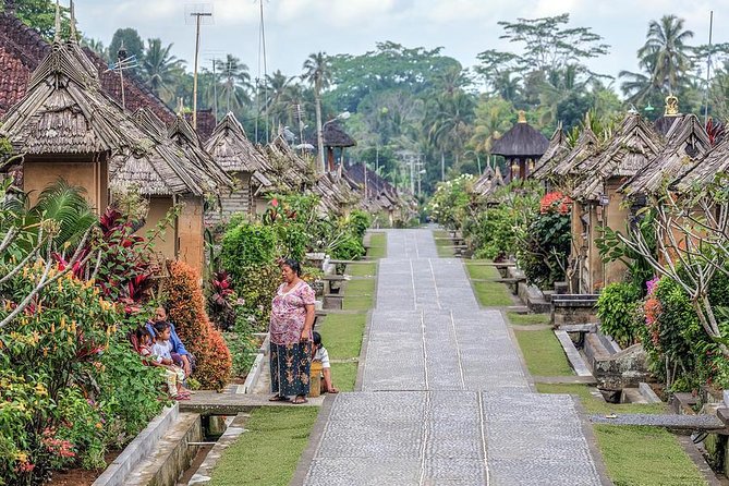 Private Day Tour: Villages, Hot Springs & Waterfalls in Bali  - Ubud - Common questions