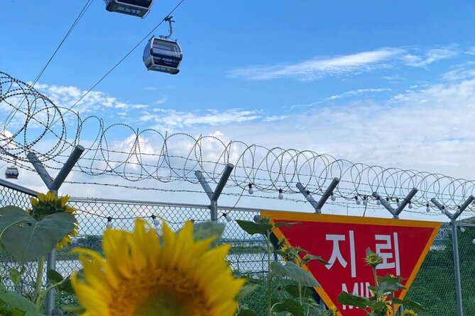 [Private] DMZ & Imjingak Peace Gondola Experience Inter-Korean War - Safety and Security Measures