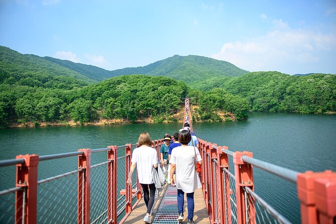 Private DMZ Peace Tour: 3rd Invasion Tunnel(Monorail) and Suspension Bridge - Historical Significance of the DMZ