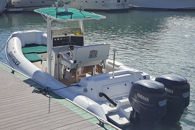 Private Dolphin and Whale Watching Tour in Newport Beach - Meeting Point