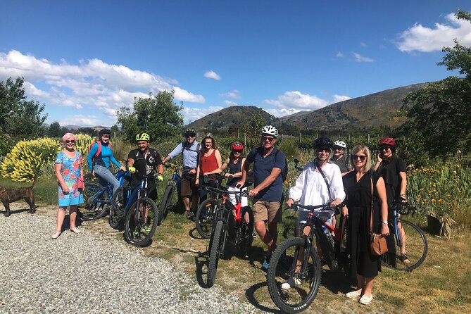 Private E-Bike Wine Tour in Wanaka - Reviews and Ratings Summary