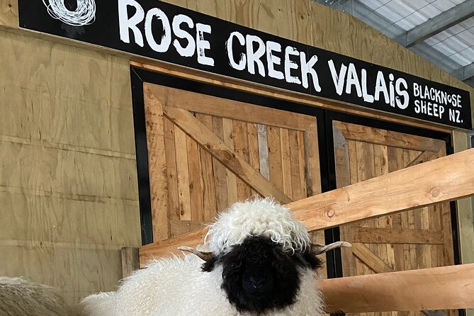 Private Farm Tour With Rose Creek Valais Blacknose Sheep - Booking and Contact Details