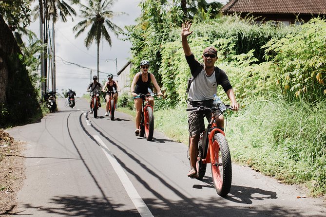 Private Fat Tire E-Bike Tour in Ubud