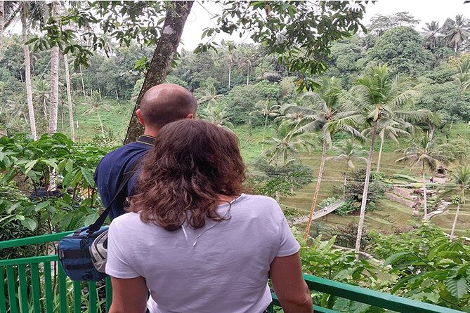 Private Guided Full Day Ubud Tour - Common questions