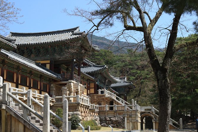 Private Gyeongju Tour: Seokguram Grotto, Bulguksa Temple  - Busan - Traveler Assistance Details