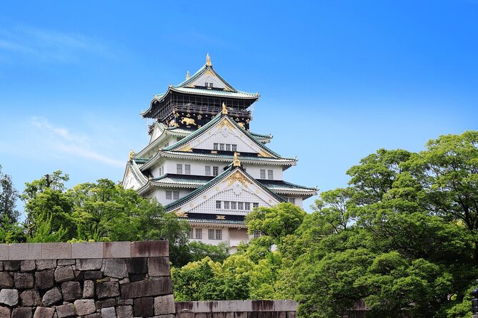 Private Half-Day Tour in Osaka by Taxi and Rickshaw - Special Considerations