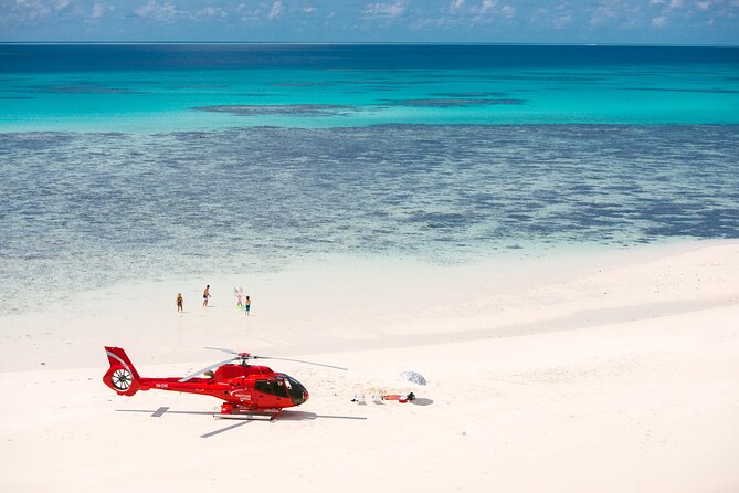 Private Helicopter Tour: Reef Island Snorkeling and Gourmet Picnic Lunch - Experience and Feedback