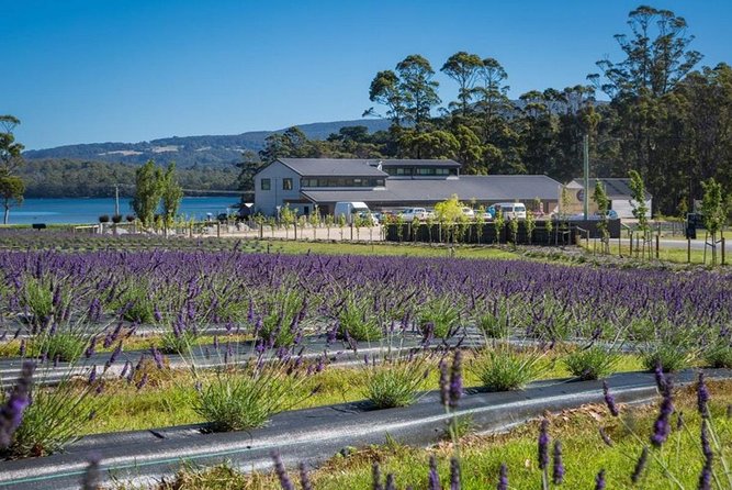 Private Hobart Discover South East Food and Scenic Tour - Cancellation Policy