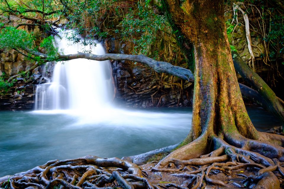 Private Iao Valley/Upcountry VIP Farm Tour- Full Day - Logistics