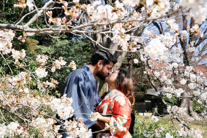 Private Kimono Photo Tour in Tokyo - Pricing and Guarantee