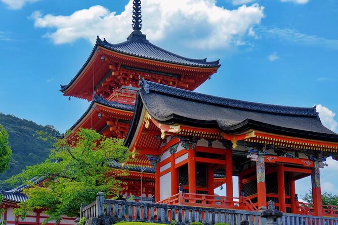 Private Kyoto Full Day Tour With Driver and Car From Osaka - Booking Requirements