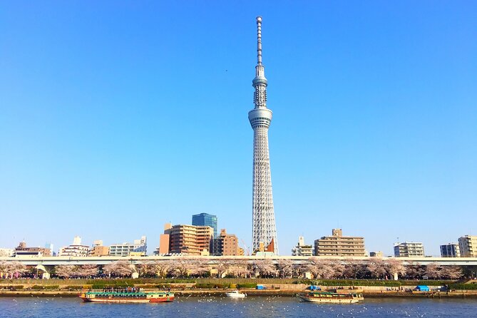 Private One Day Tour in Tokyo With Limousine and Driver - Driver and Limousine Details