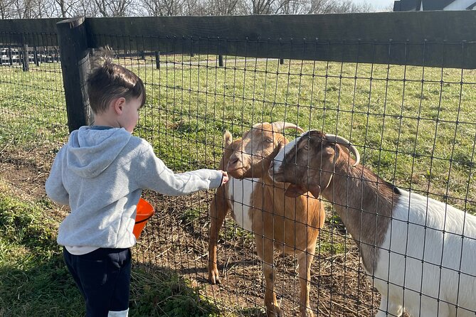 Private Picnic With Goats in Lexington - Cancellation Policy and Reviews