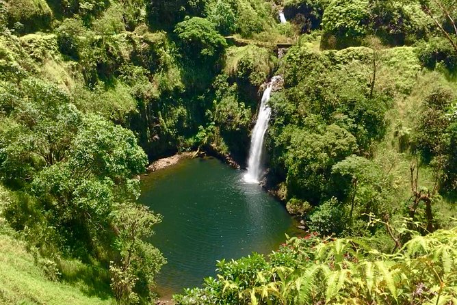 Private Road to Hana Tour - Common questions