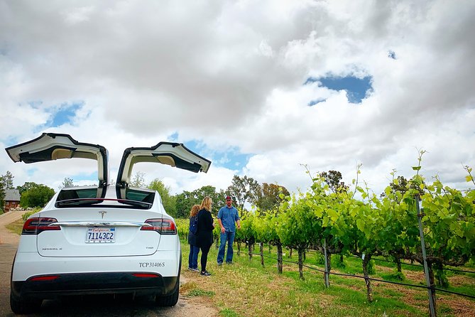 Private Santa Barbara Winery and Estate Tour in Tesla SUV - Transportation Details