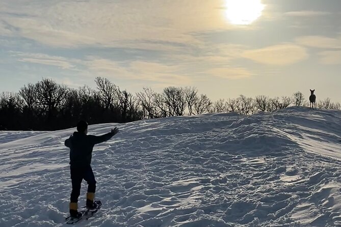 Private Snow Shoe Tour in Shiretoko National Park - Tour Duration