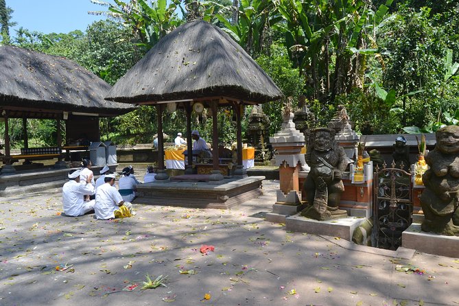 Private Tour: Bali Temple and Countryside Tour - Temple Visits