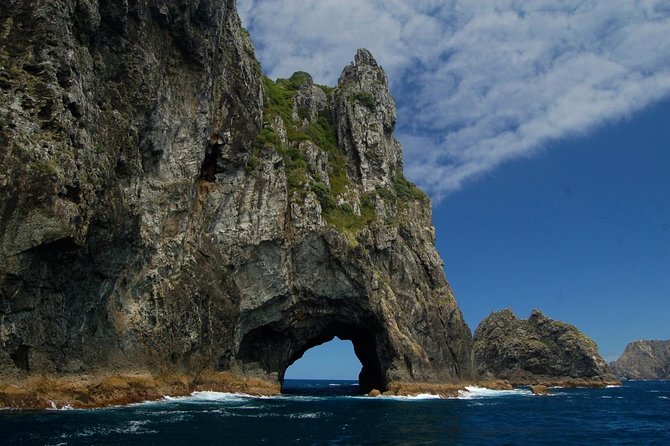 Private Tour: Bay of Islands Day Trip From Auckland - Additional Information