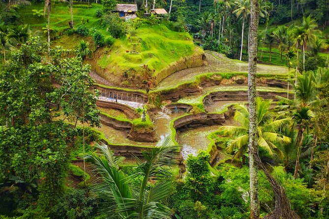 Private Tour Best of Ubud - Sum Up