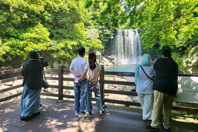 Private Tour Cheonjeyeon Falls & Osulloc Museum in Jeju Island - Booking Information