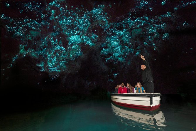 Private Tour From Auckland - Waitomo Glowworm Caves, Zealong Tea & Kiwi Bird - Background