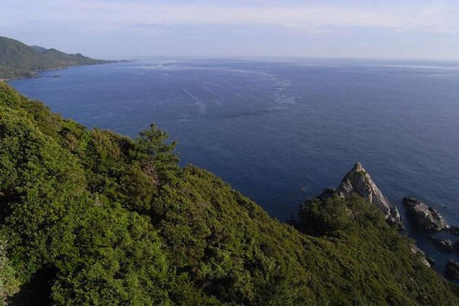 Private Tour: Full-Day Walking Tour With Professional Local Guide in Yakushima Island - Sum Up