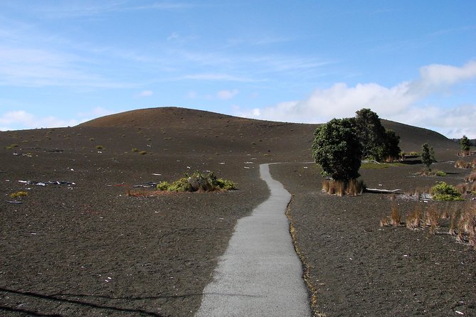 Private Tour: Hawaii Volcanoes National Park Eco Tour - Customer Satisfaction and Recommendations