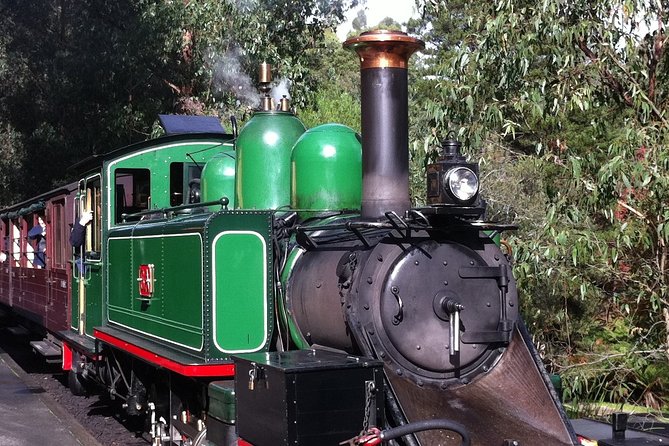 [Private Tour] Healesville Sanctuary Wildlife & Puffing Billy Steam Train - Sum Up