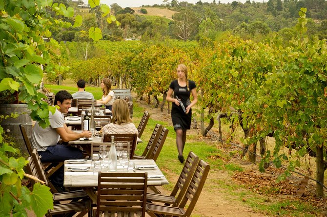[PRIVATE TOUR] Mornington Peninsula Hot Springs Winery & Sightseeing Tour - Common questions