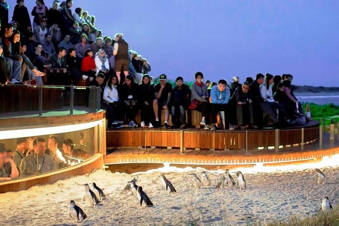 Private Tour: Phillip Island, Penguin Parade and Moonlit Sanctuary Conservation Park From Melbourne - Sum Up