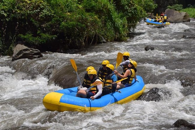 Private Tour Rafting Uluwatu Kecak Dance Sunset and Dinner in Jimbaran Bay - Common questions