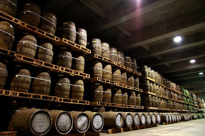 Private Tour to Yilan Kavalan Whisky Distillery - Sum Up