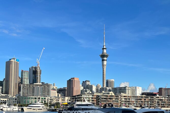 Private Transfer From Auckland Domestic Airport To Auckland City - Customer Support