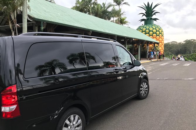 Private Transfer From Noosa to Sunshine Coast Airport 7 Seater - Booking and Cancellation Policy
