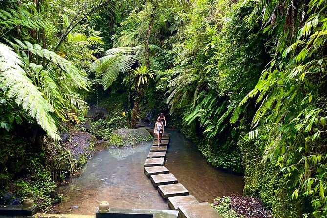 Private Ubud Monkey Forest Rice Terrace and Hidden Waterfall Tour - Booking Terms and Conditions