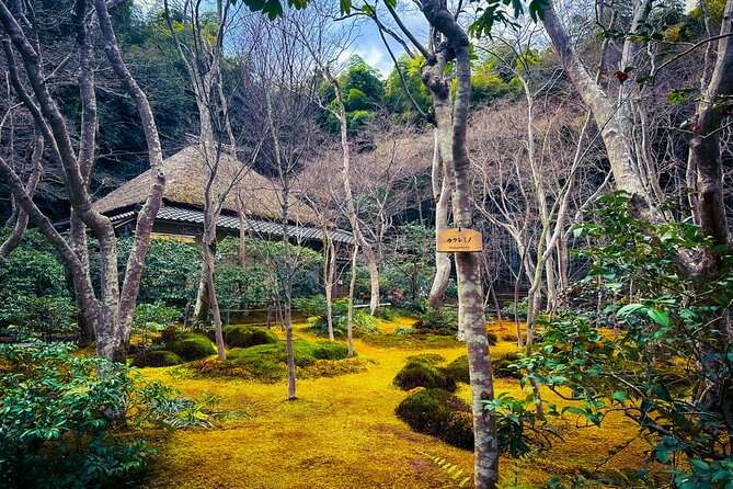 Private Van - Deep Kyoto & Arashiyama Tour (Full-English Guide) - Inclusions