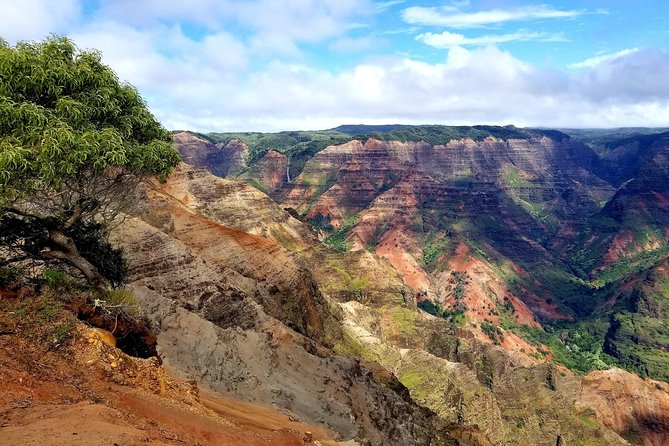 Private Waimea Canyon Tour - Tour Booking and Information