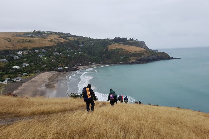 Private Walking Tour From Christchurch - Lyttelton & Godley Head - Weather and Traveler Requirements