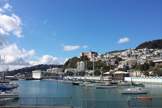 Private Wellington Full Day Sightseeing Tour - Pick-Up Details