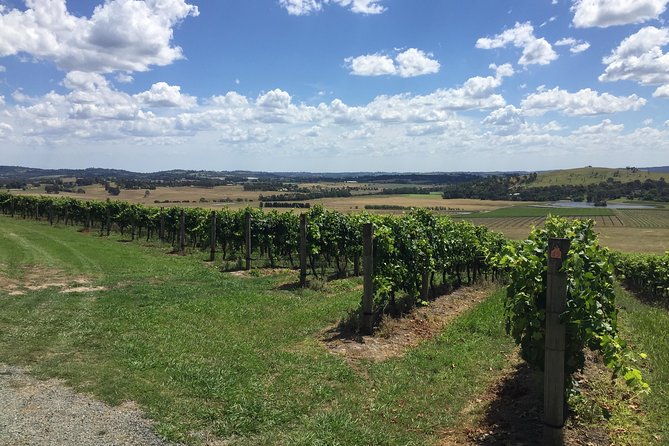 Private Yarra Valley Wine Tour - Sum Up
