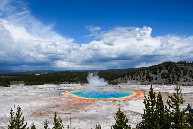 Private Yellowstone Old Faithful and Lower Loop Tour - Sum Up